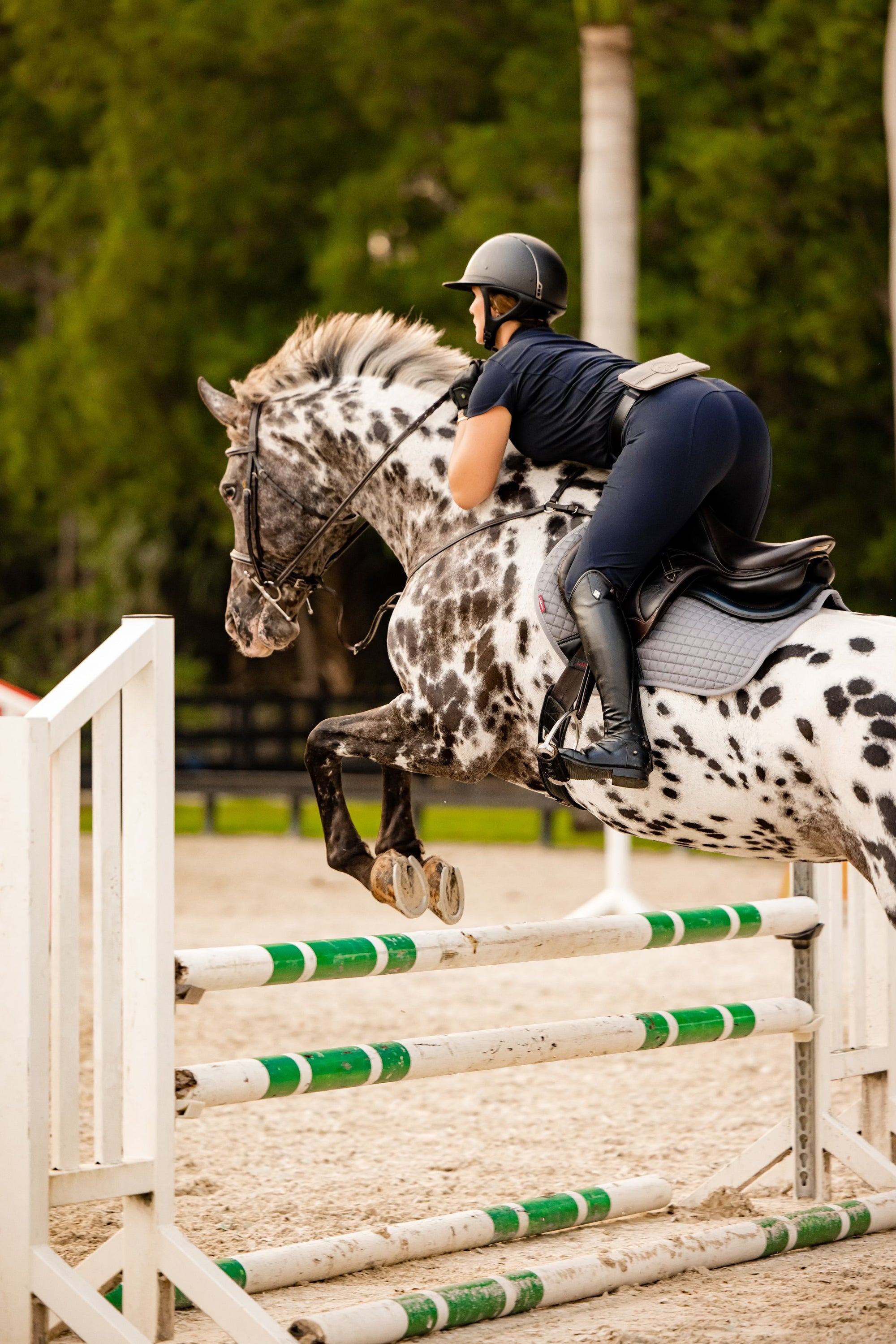 Tucker Tweed Equestrian Stablemate