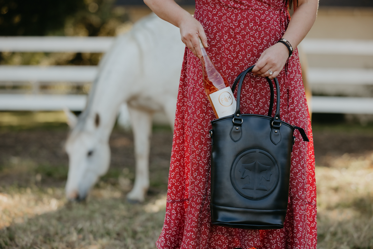Person in a red dress holding a black handbag with a horse in the background