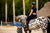 Tucker Tweed Equestrian Stablemate